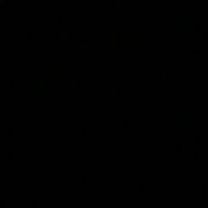 Meet your Posher, Daniela